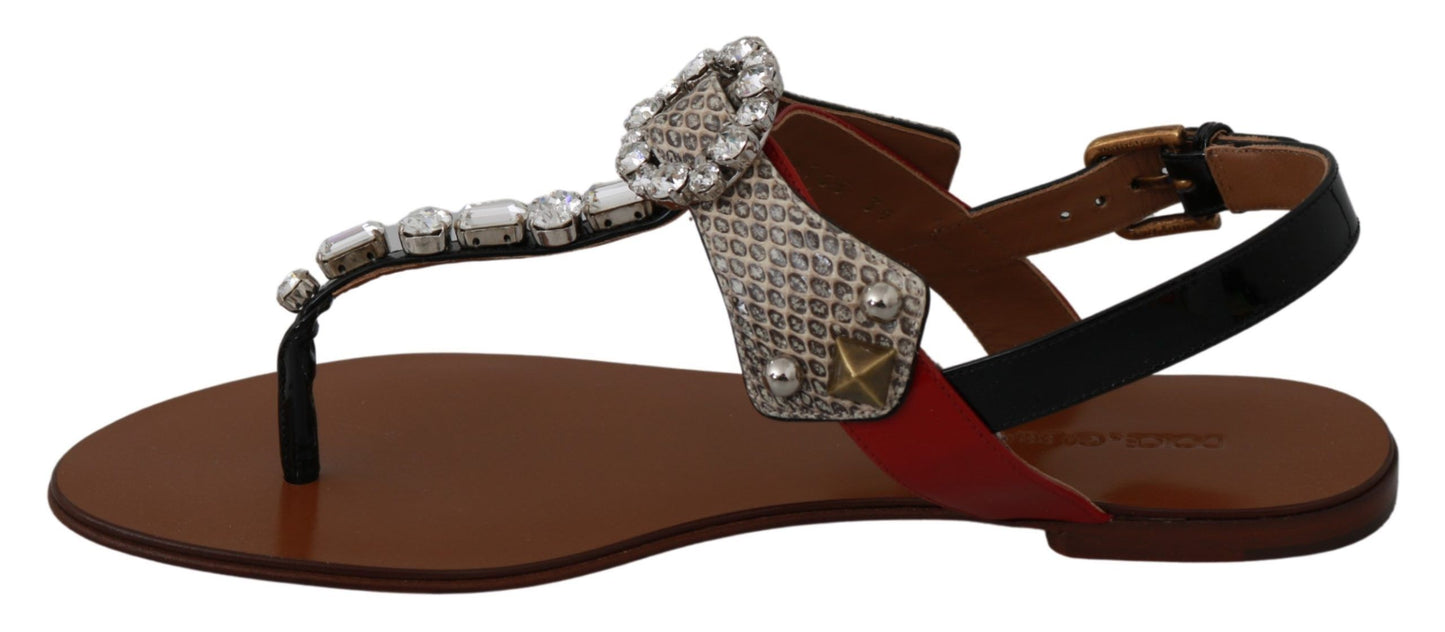 Sandali in pelle Ayers Crystal Infradito Scarpe