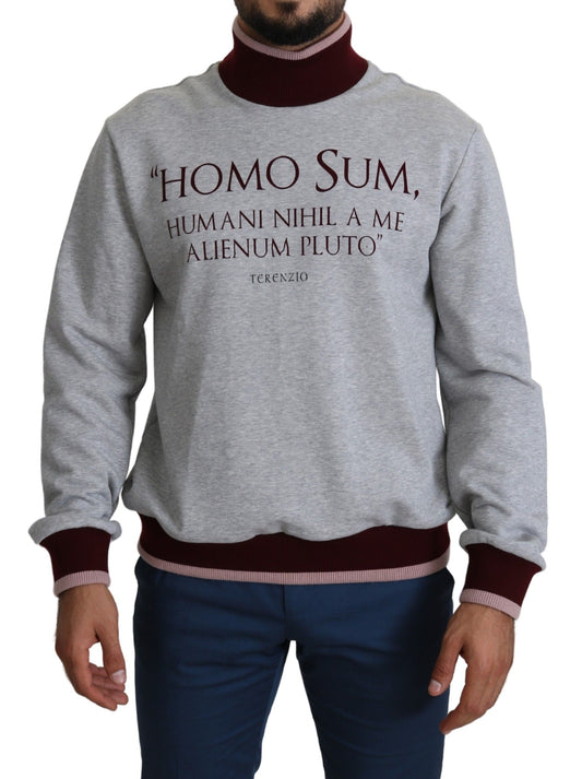 Pull gris à col roulé Homo Sum