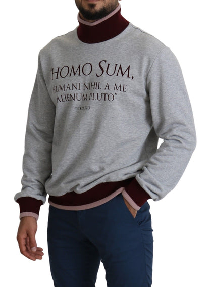 Pull gris à col roulé Homo Sum