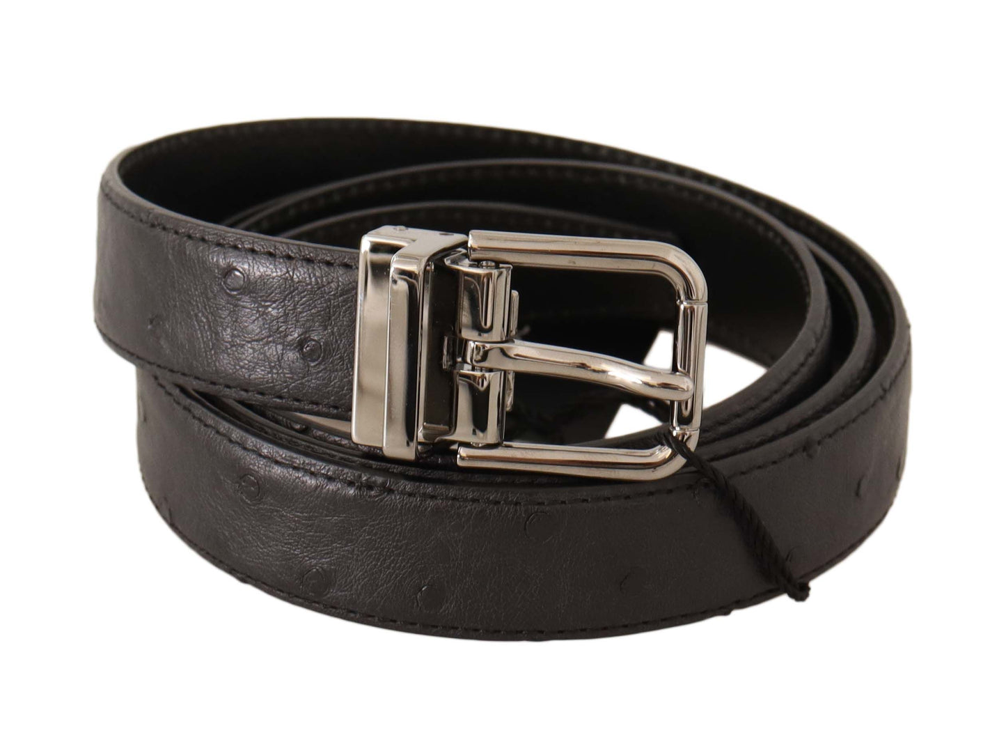 Ceinture en cuir exotique noir à boucle argentée