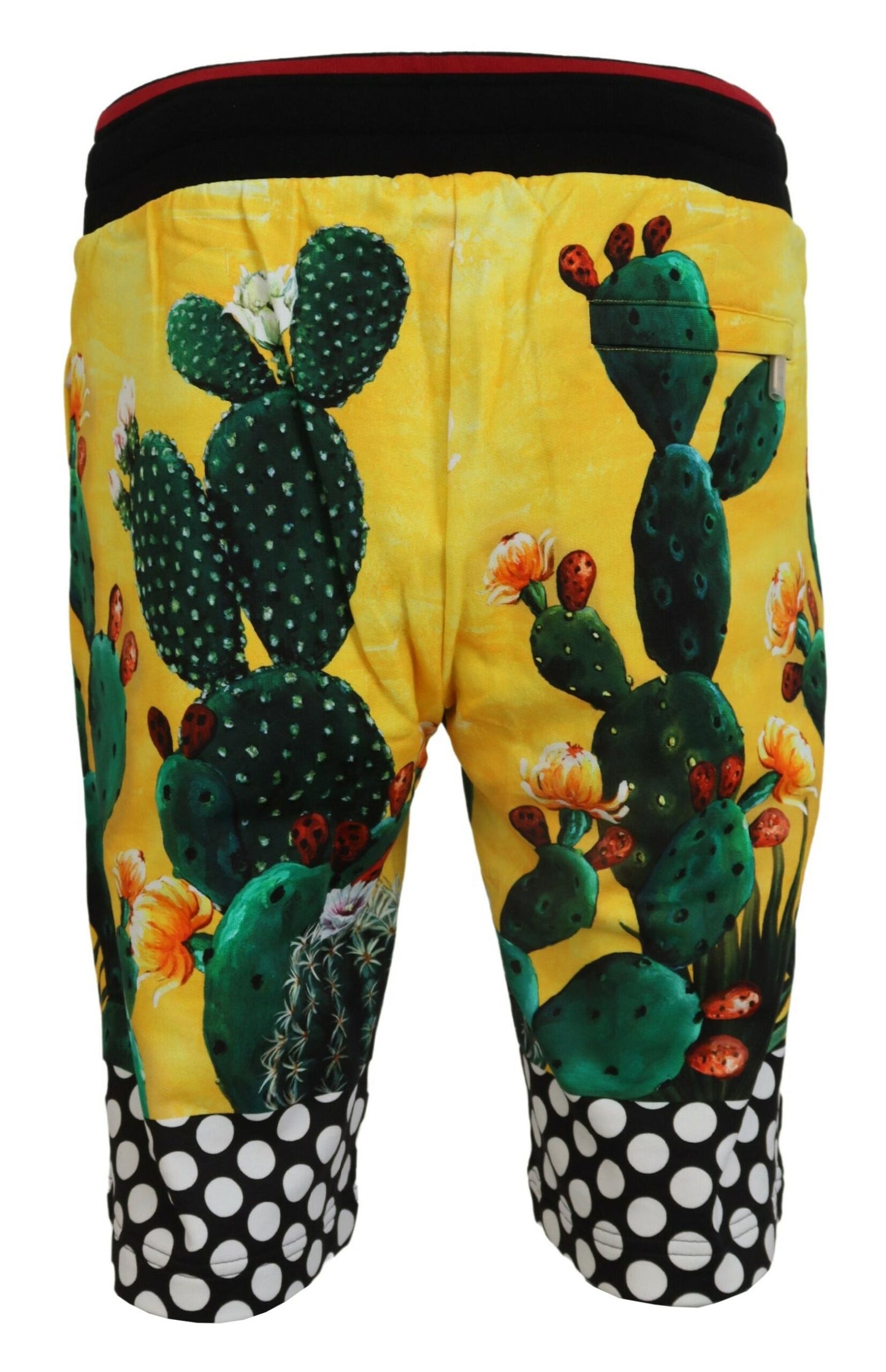 Mehrfarbige Sweatshorts mit Kaktus-Print