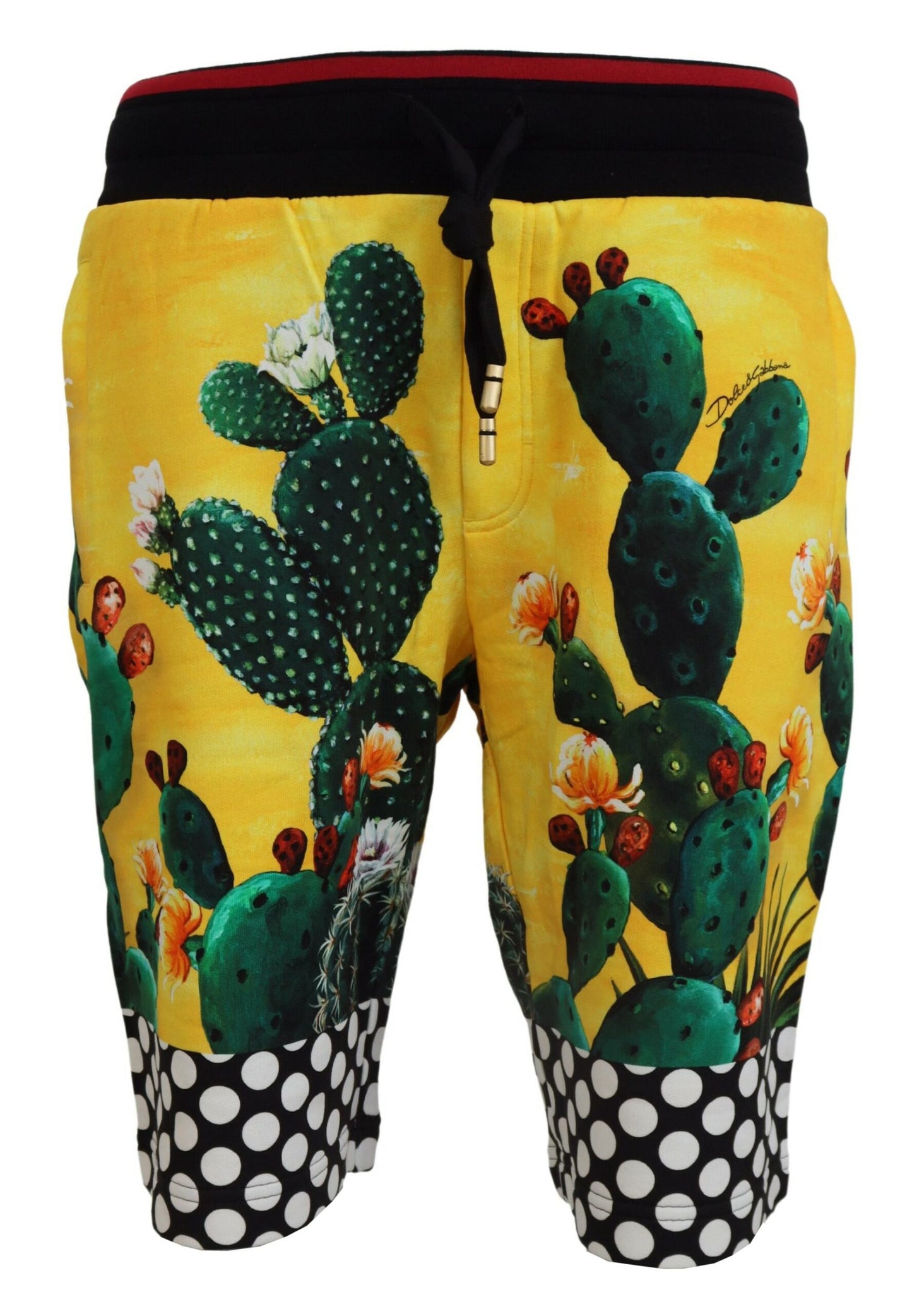 Mehrfarbige Sweatshorts mit Kaktus-Print