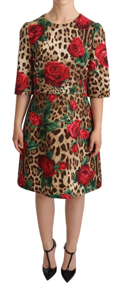 Dolce & Gabbana Brown Leopard Red Roses Cotton A-line Dress