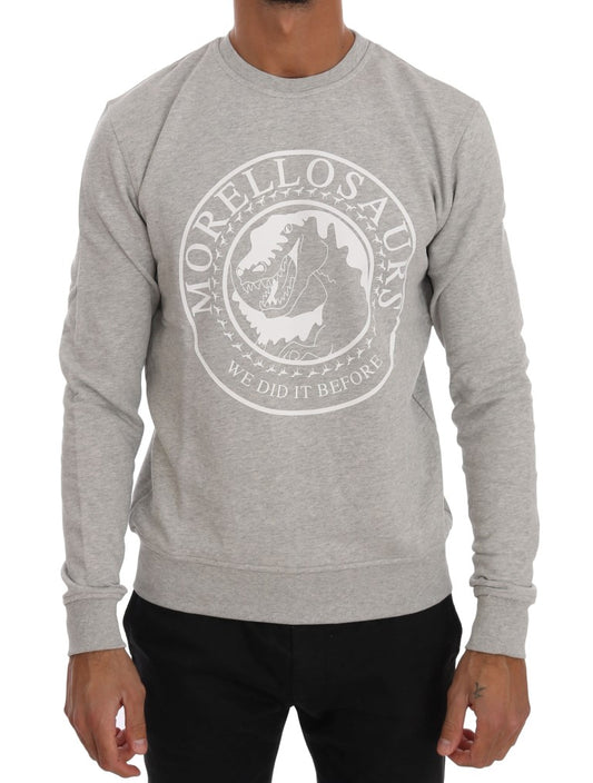 Maglione pullover girocollo in cotone grigio