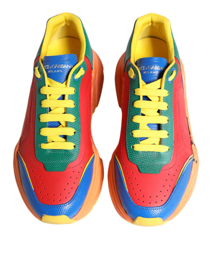 Dolce & Gabbana Multicolor Daymaster Low Top Sneakers Shoes