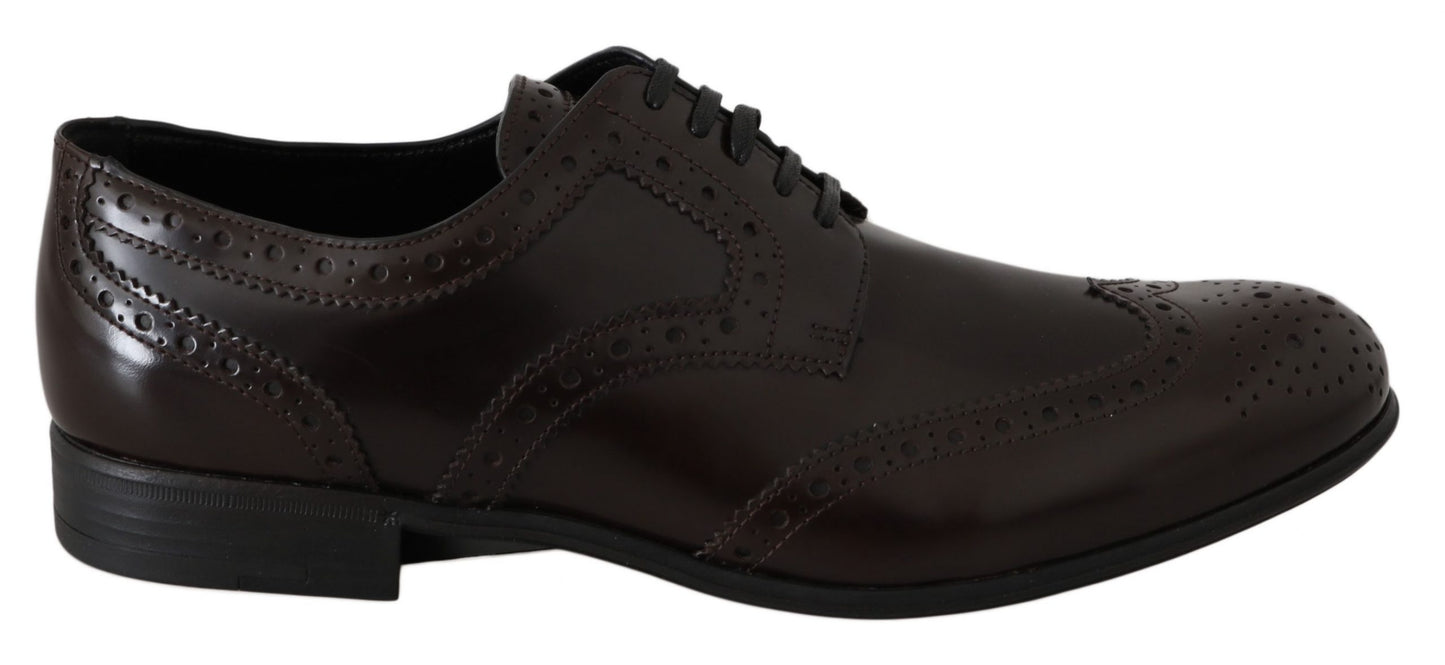 Chaussures Broques Oxford en cuir marron à bout d'aile