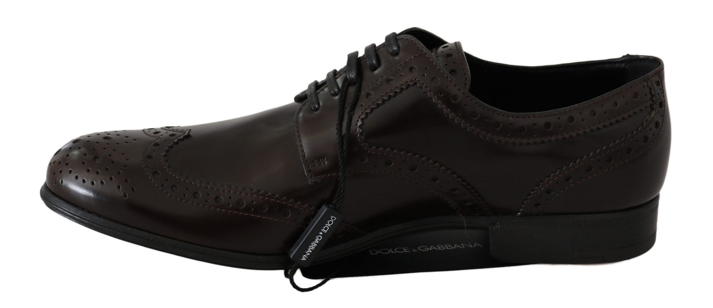 Scarpe Oxford con punta alari in pelle marrone broques